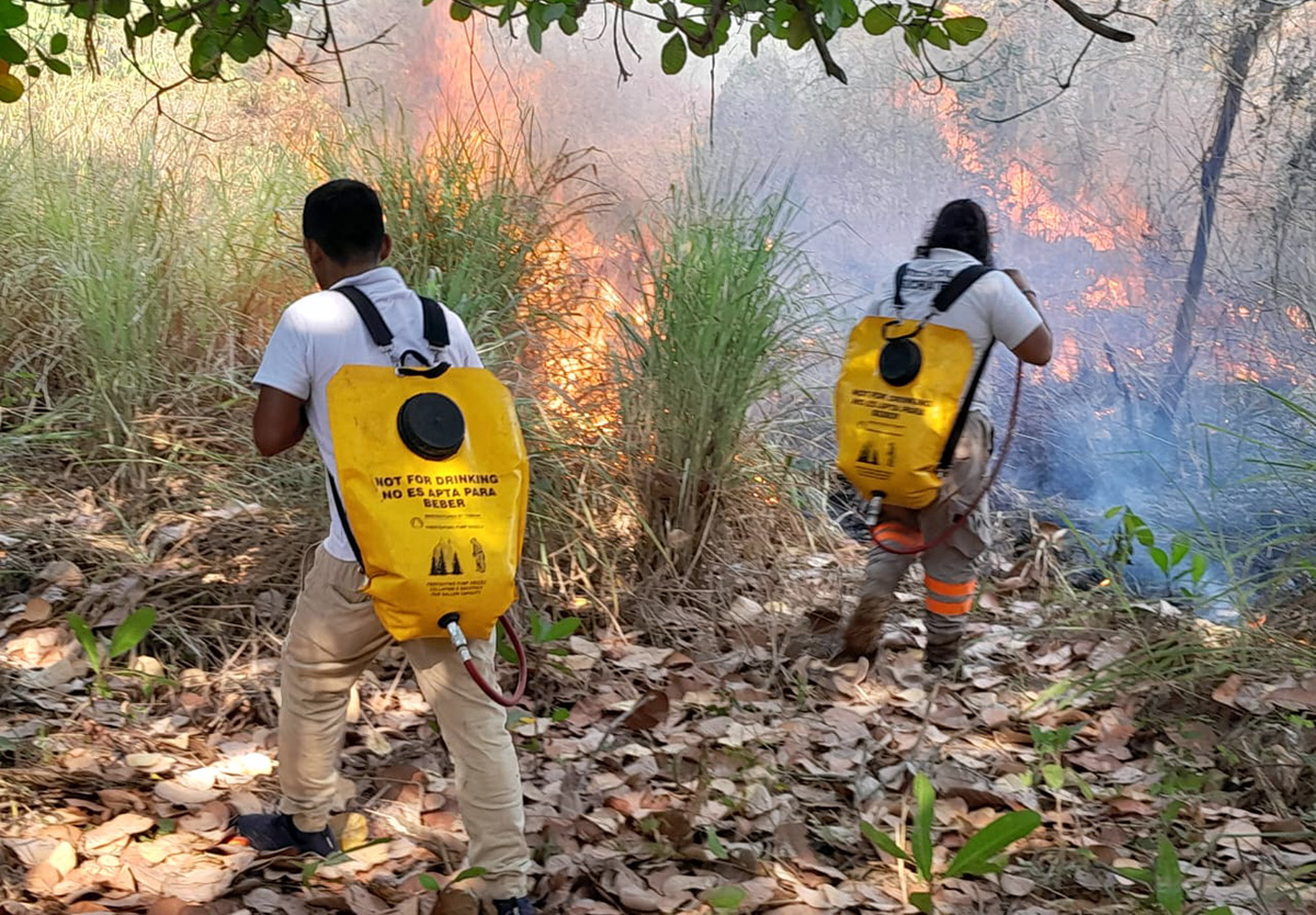 incendiosforestales030323