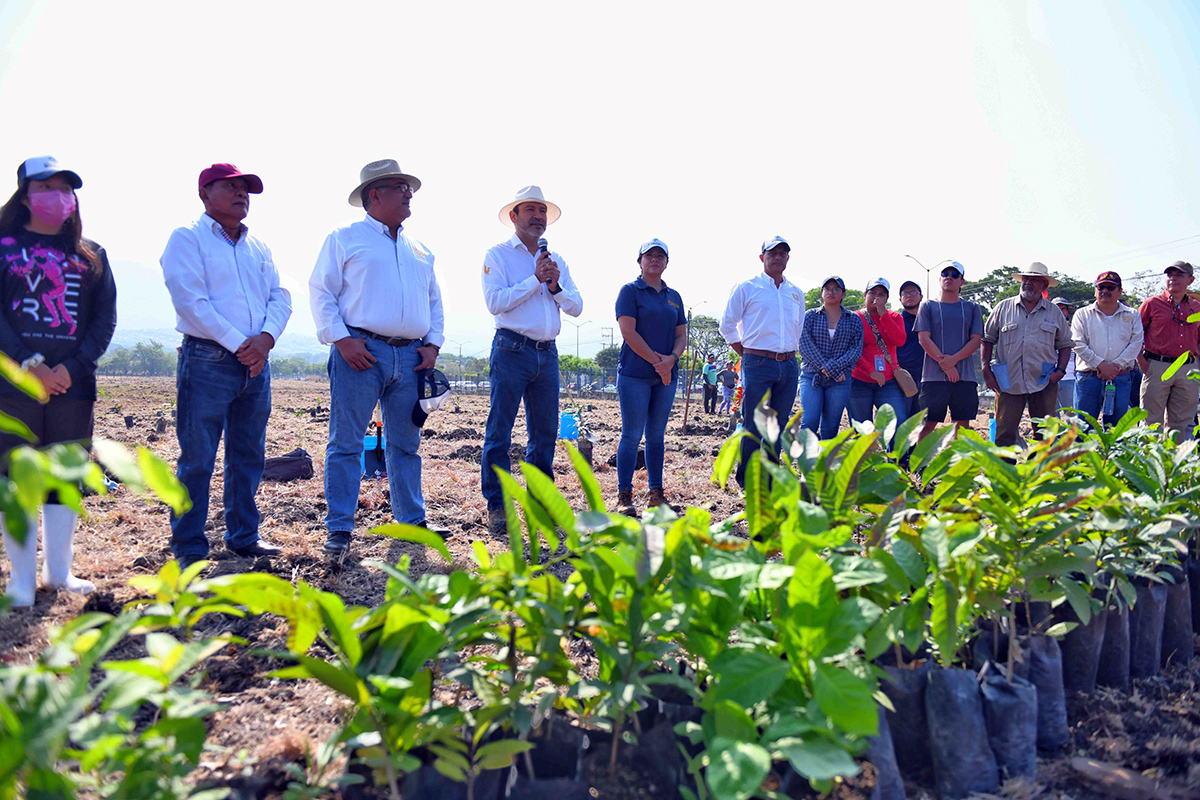 unachreforestacion060623