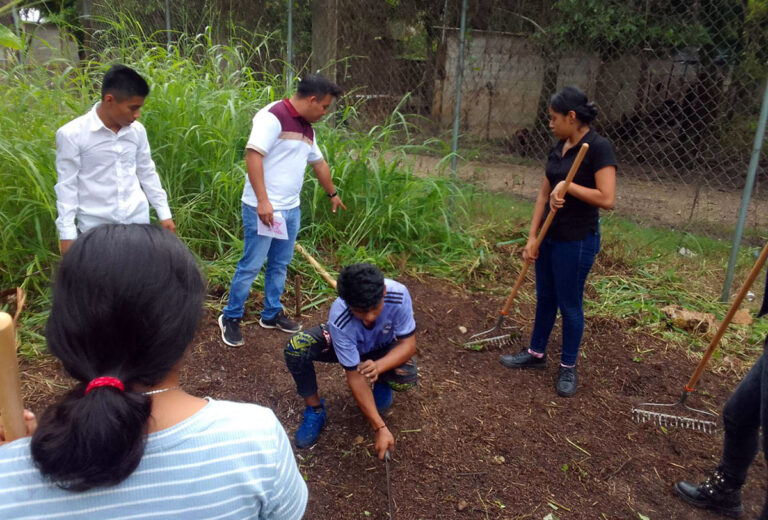 Estudiantes del CECyT 39 Agua Azul trabajan en programa de Huertos Escolares Pedagógicos