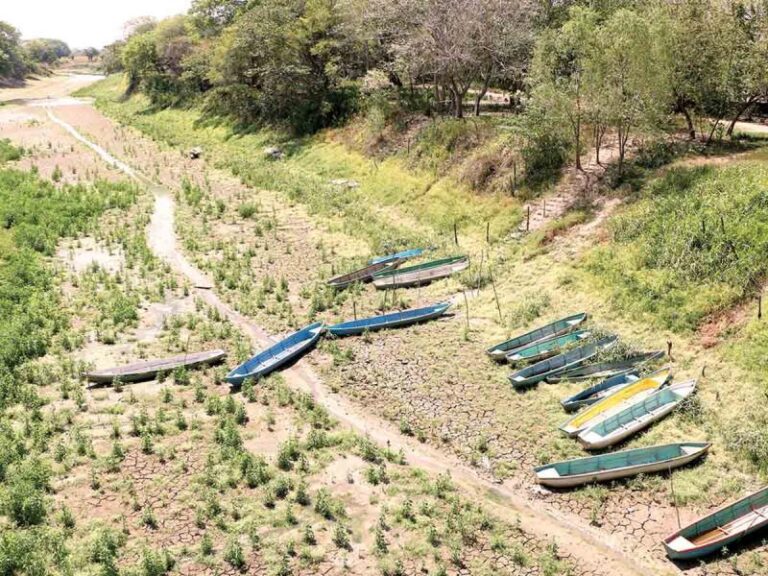 Sequía afecta 76.12% del territorio nacional; frentes fríos, insuficientes