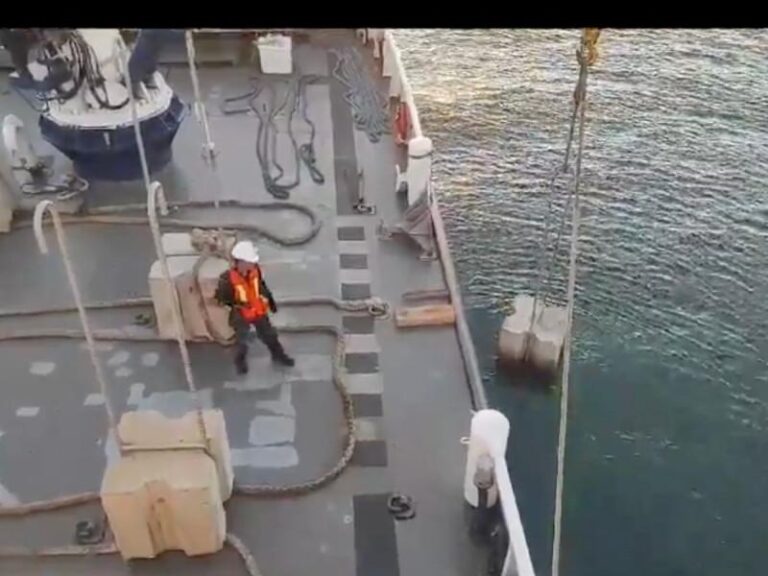 Sin datos, aprueban colocación de más bloques de concreto en zona cero de vaquita marina
