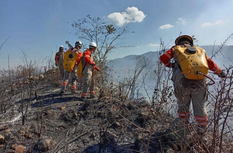 En Chiapas disminuye número de hectáreas afectadas por incendios