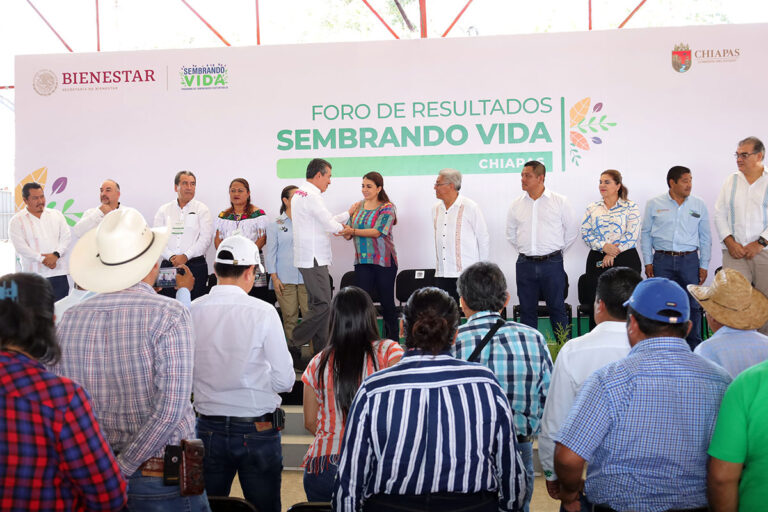 SAGyP respalda las acciones del programa Sembrando Vida en Chiapas