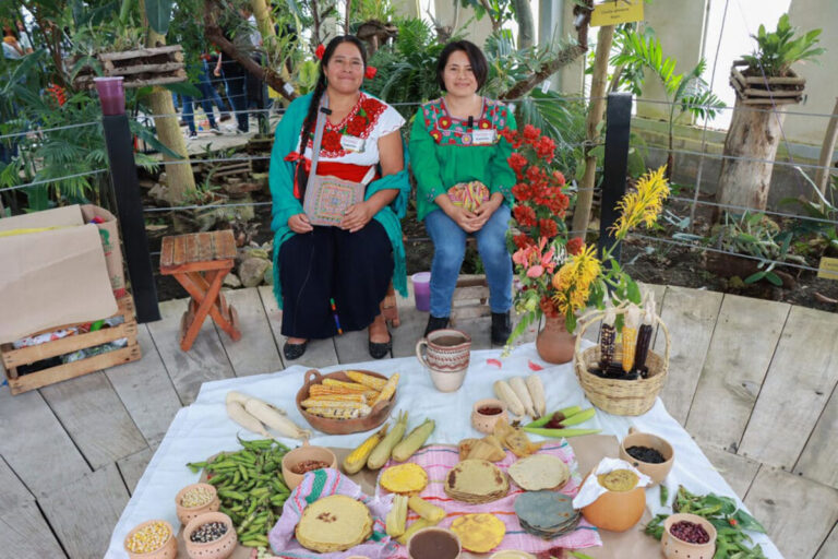 Realizará Semahn Primera Feria de Semillas Nativas de Copainalá