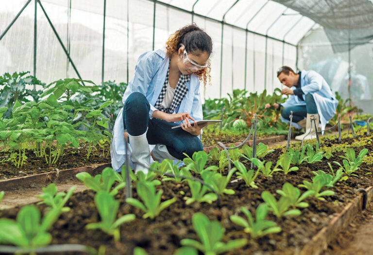 Promueven seguridad alimentaria en Chiapas