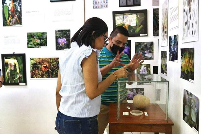 Presentará Semahn la tercera Expo Orquídeas de Chiapas ‘Un frágil tesoro’