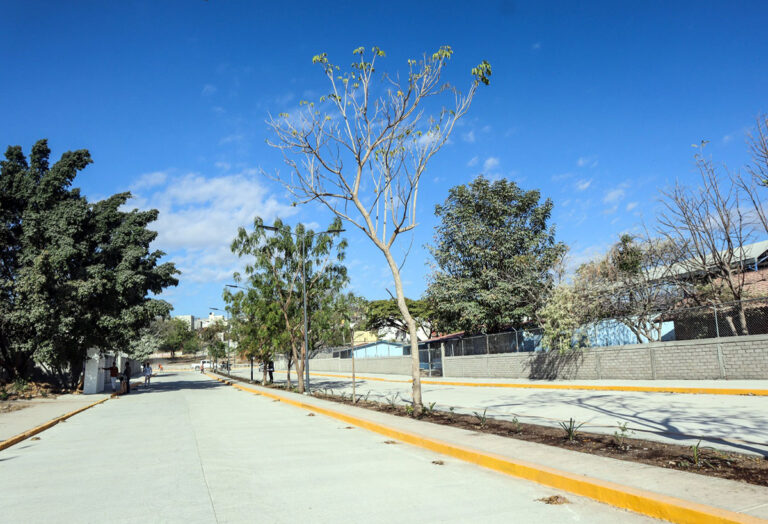 Entrega Claudia Baca pavimentación del Bulevar de Jardines del Grijalva en Chiapa de Corzo