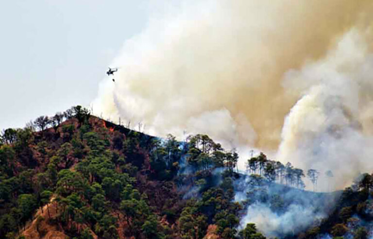 Chiapas registra mayor superficie afectada por incendios: Conafor