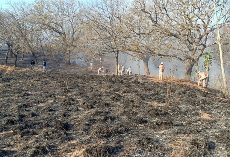 Combate PC cinco incendios forestales prioritarios en Chiapas