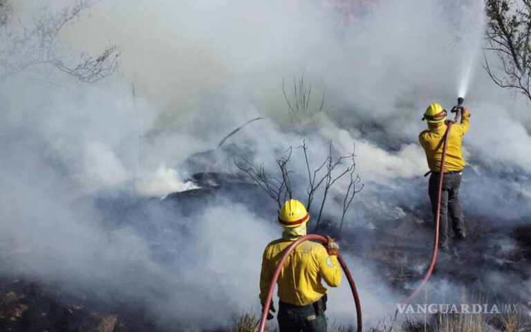 Hay 84 incendios forestales activos en el país: Conafor