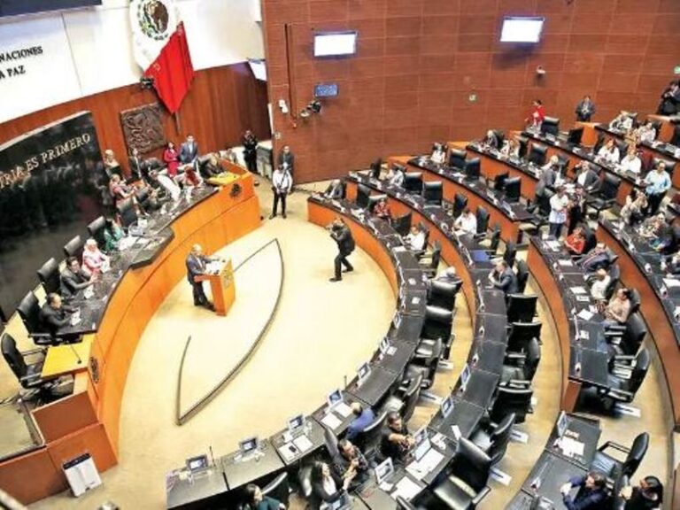 Generación X lidera aspiración al Senado