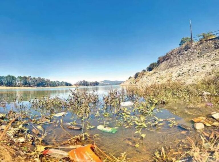Arderán 19 entidades del país a más de 45º