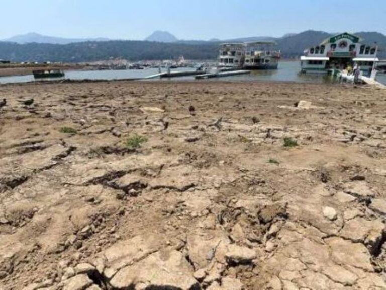 Sequía devora casi 2 mil municipios del país