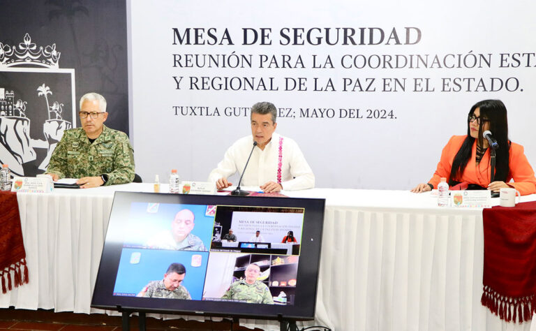 Los próximos comicios reafirmarán el compromiso con la democracia: REC