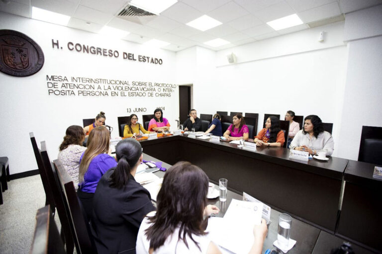 En comisiones, analizan protocolo de atención a la violencia vicaria o interpósita persona