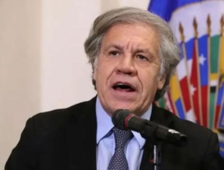 Luis Almagro dice a Sheinbaum que cuenta con la OEA para trabajar en pos de la justicia social