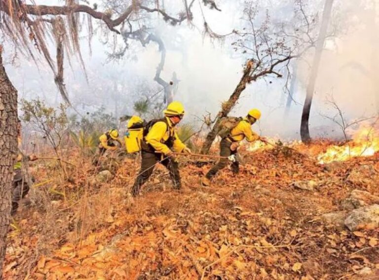 Incendios dan respiro pese a falta de lluvias; hay 134