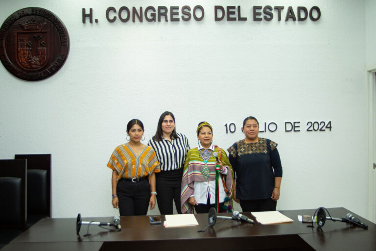 Aprueban bases para la consulta dirigida a personas con Trastorno del Espectro Autista