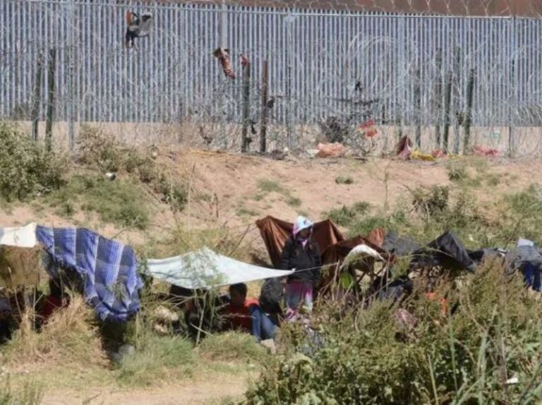 Niños migran a EU para enraizar sus sueños