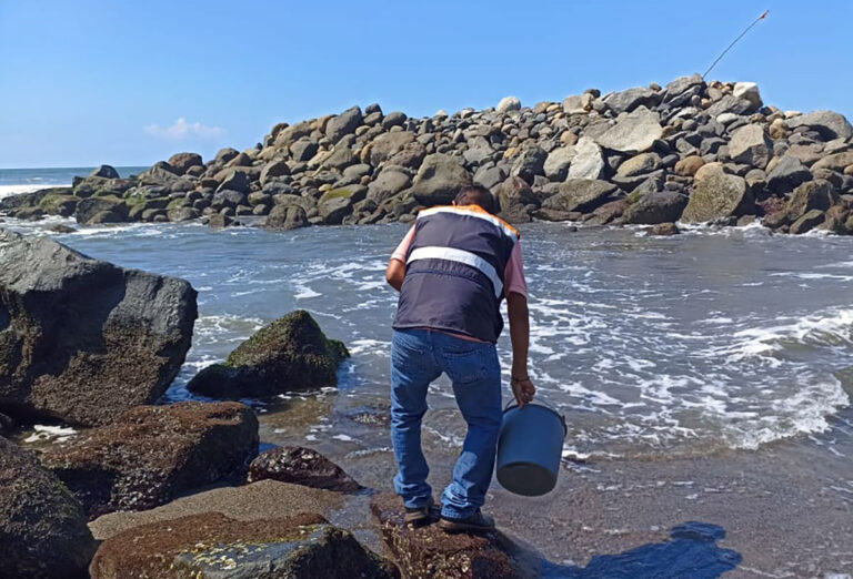 Playas de Chiapas, seguras para uso recreativo: SS