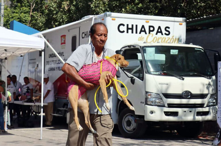 Anuncia Secretaría de Salud Campañas de Vacunación y de Esterilización Canina y Felina