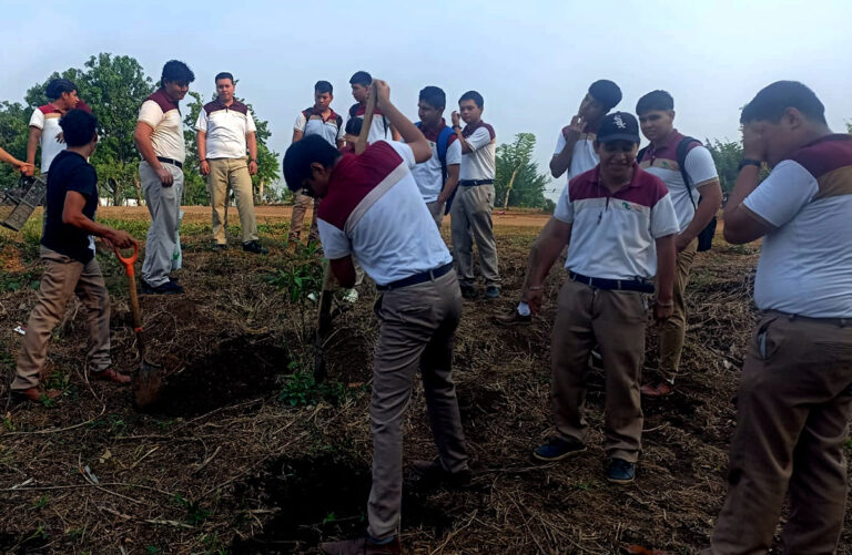 Realiza CECyT 41 Carmen Reforma campaña de reforestación