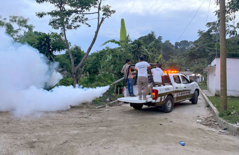 Se refuerzan acciones en el combate frontal contra el dengue
