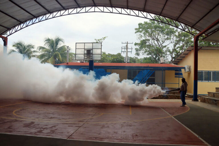 Escuelas libres de cacharros por 2ª jornada de lucha contra el dengue