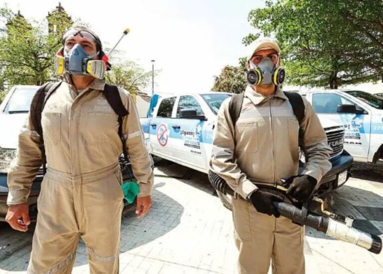 Dengue se acelera y cobra vida en Jalisco
