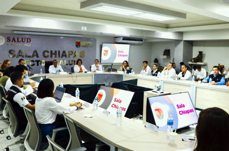 Pide Federación a Chiapas atender epidemia de dengue como situación de emergencia