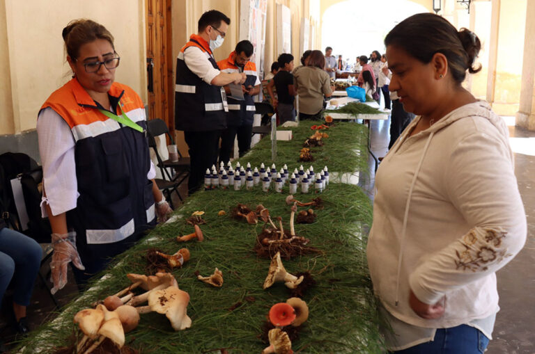 Salud realiza Feria de Hongos para prevenir intoxicaciones