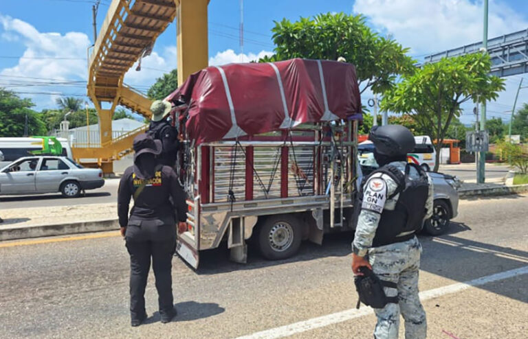 FGE da seguimiento a operativos para el combate al tráfico de materias primas y productos forestales