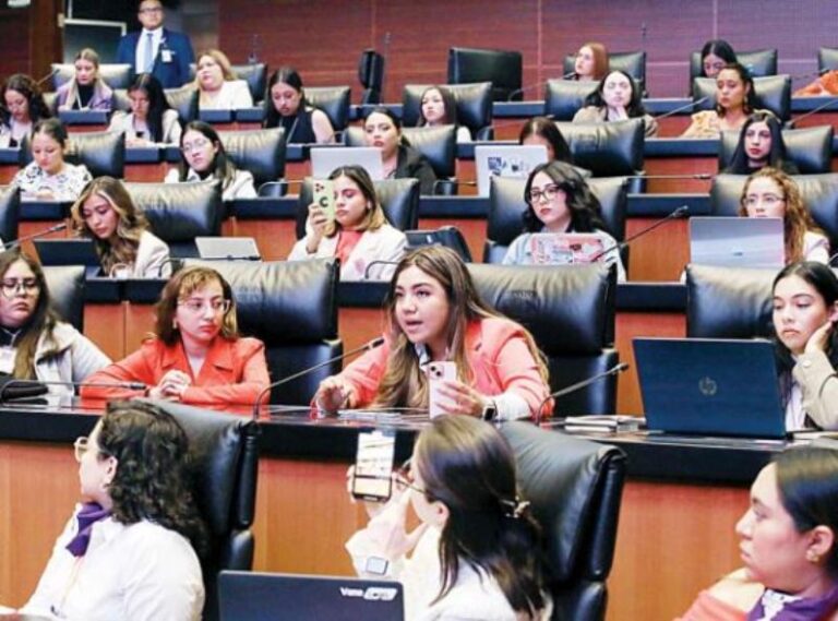 Emplean a operadores en lugar de expertos en el Instituto Belisario Domínguez del Senado