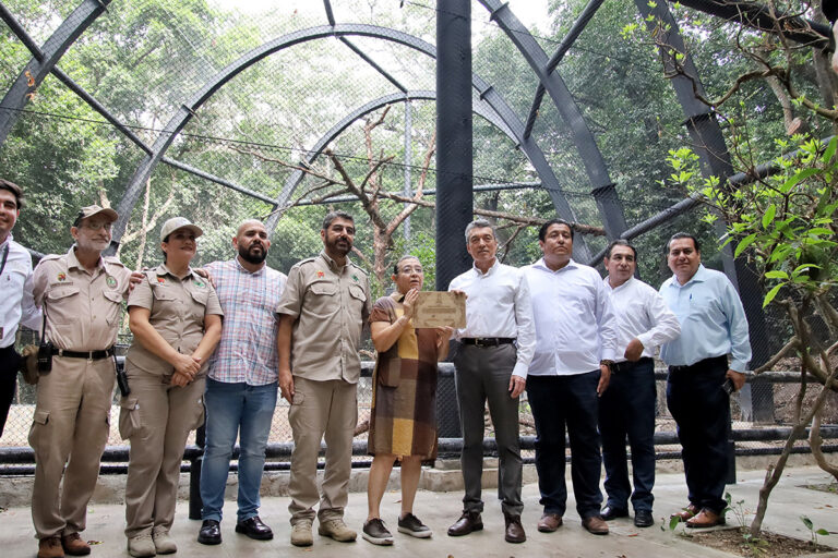 Inaugura Rutilio Escandón remodelación de los recintos del jaguar Yojk y de la nutria en el ZooMAT