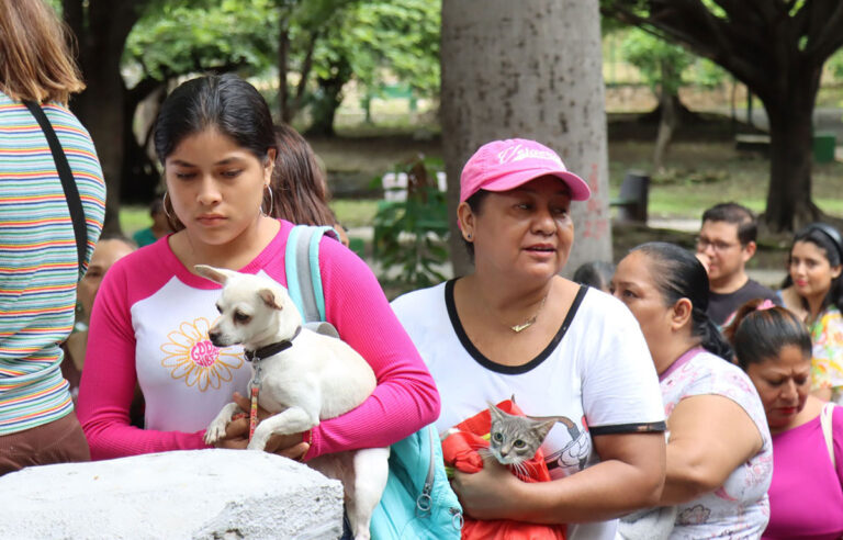 En 6 años, SS ha aplicado más de 2 millones de dosis de vacunas antirrábicas