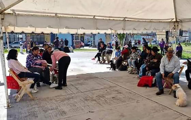 Un éxito la XIII Campaña gratuita de esterilización en San Cristóbal