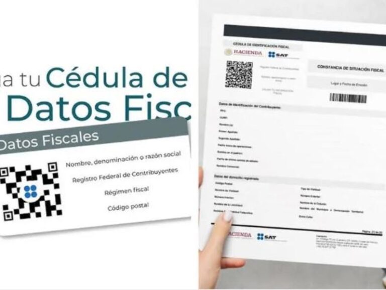 Diferencia entre Cédula de Datos Fiscales y Constancia de Situación Fiscal: Usos y beneficios