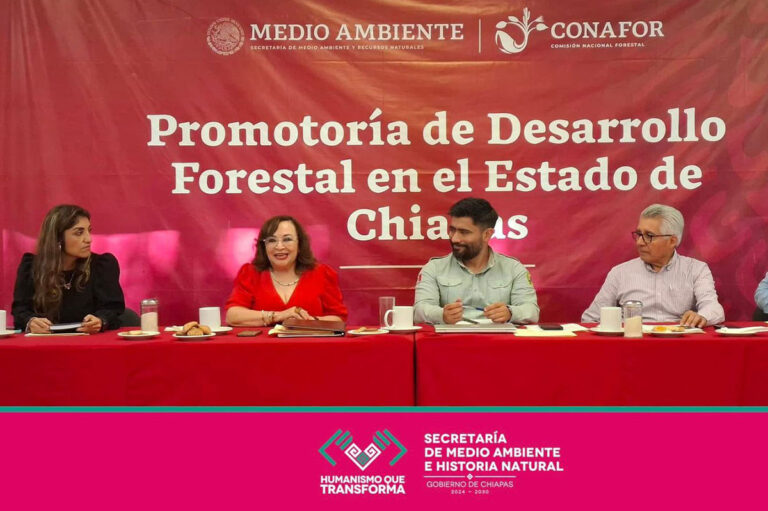 Semahn refuerza acciones de prevención de incendios