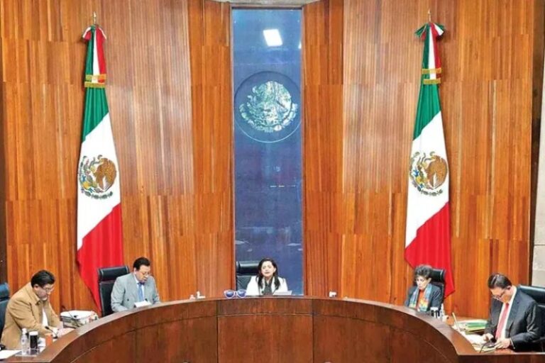 Tribunal Electoral ordena palomear a 18 candidatos