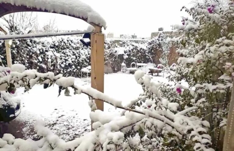 Se pintan de blanco; en alerta 3 estados; temperaturas de -15 grados