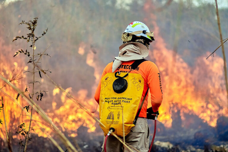 Gobierno de Chiapas emite exhorto ambiental a los ayuntamientos para reducir riesgos de incendios forestales
