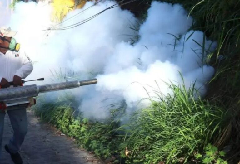 Nayarit entre las 10 entidades con más casos de dengue