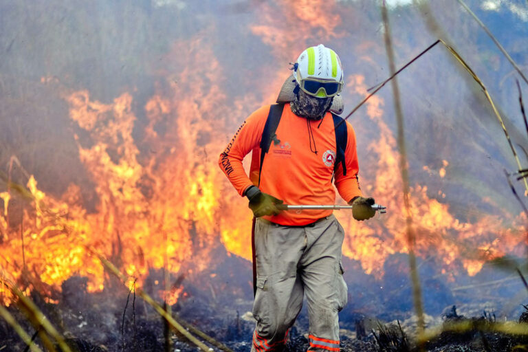 Registra Chiapas disminución de 96.19 % de incendios forestales, en comparación con 2024
