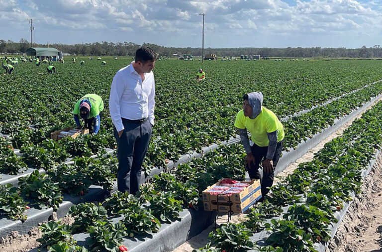 Titular de SEyT, visita los campos agrícolas ‘Pacific Farms’ en Florida