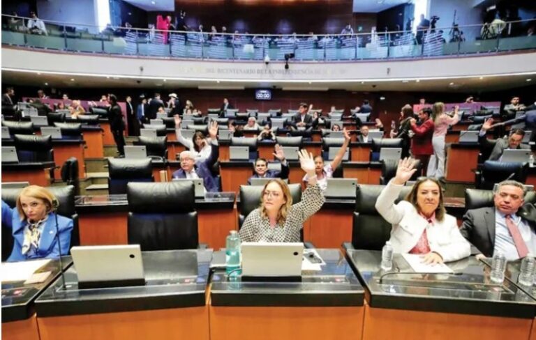 Constitucional, apoyo a jóvenes de 18 a 29; sólo falta aval de congresos estatales