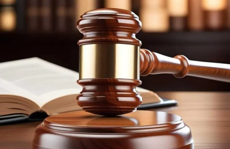 ‘Elección judicial debe ser impecable para generar certidumbre’: Dorita Montenegro