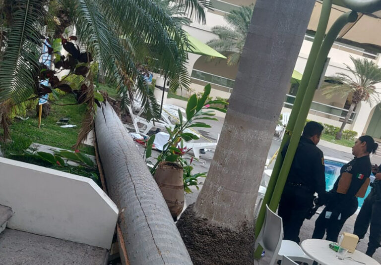 Descarta PC que sea común la muerte de personas por caída de árboles