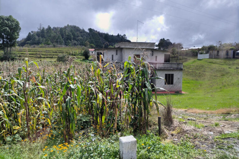 Materia agrícola «levantará» en Chiapas: Javier Jiménez