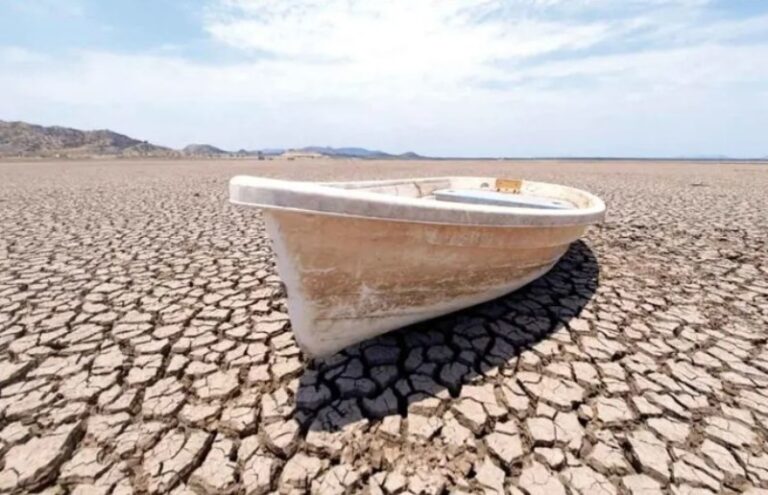 Crece preocupación por la crisis climática