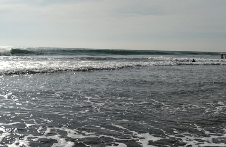 Con surf, buscarán proyectar a las playas de El Zapotal
